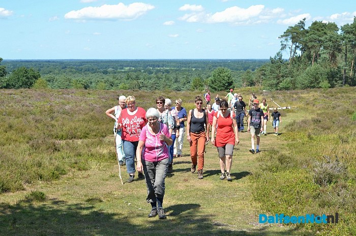 Op Stap – met de schaapherder op de Lemelerberg - Foto: Johan Bokma