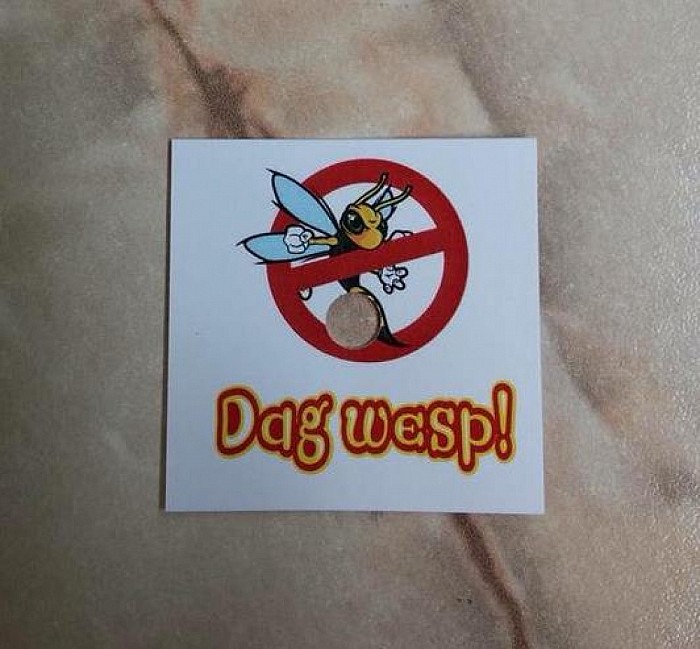 Veel minder hinder met ”Dag Wesp”! - Foto: Eigen geleverde foto