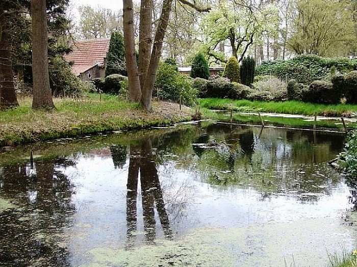Uniek: bezoek aan de tuinen van Den Aalshorst - Foto: Wim