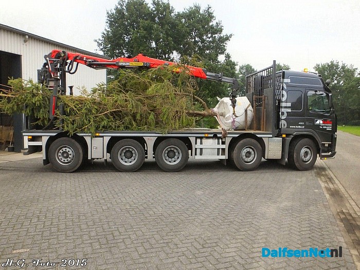 Boom van negen meter op de oprit. - Foto: H.G. Foto