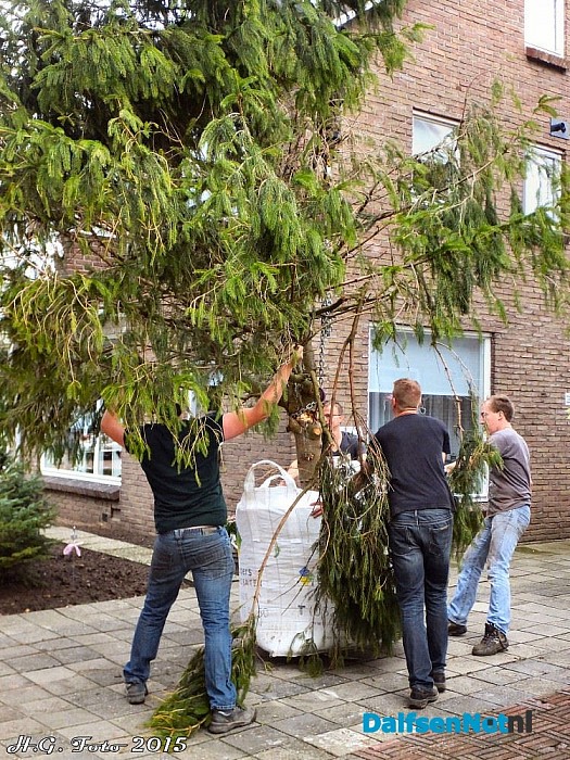 Boom van negen meter op de oprit. - Foto: H.G. Foto