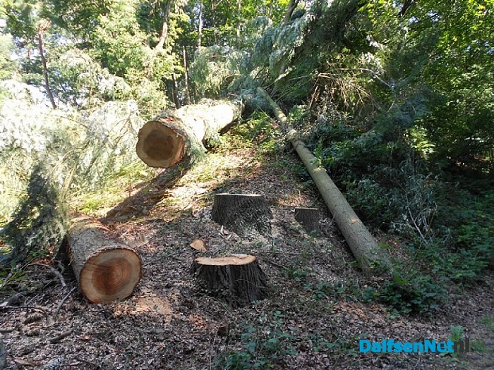 Geen stormschade, maar onderhoud
