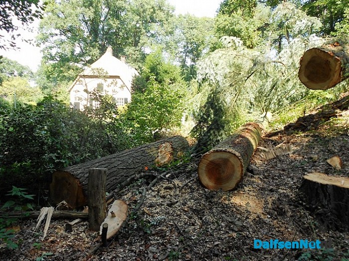 Geen stormschade, maar onderhoud