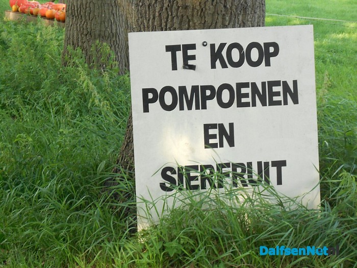 Ze zijn er weer