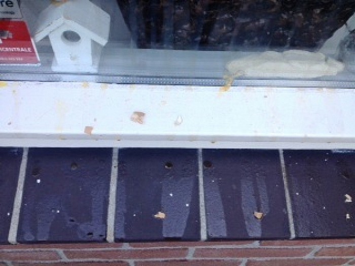Baldadigheid in Dalfsen? - Foto: Eigen geleverde foto