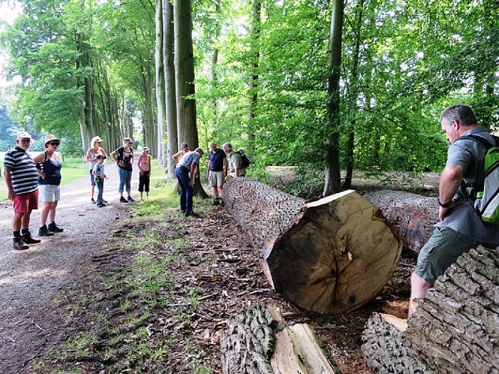 Prachtige wandeling van Sterrebosch naar Den Aalshorst - Foto: Wim