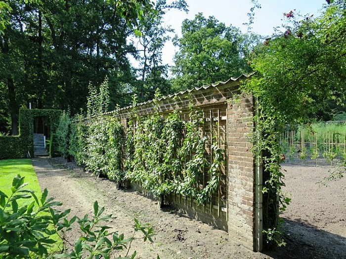 Prachtige wandeling van Sterrebosch naar Den Aalshorst - Foto: Wim