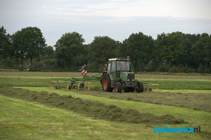 Alle ooievaars verzamelen! Koesteeg/Engelandweg - Foto: Johan Bokma