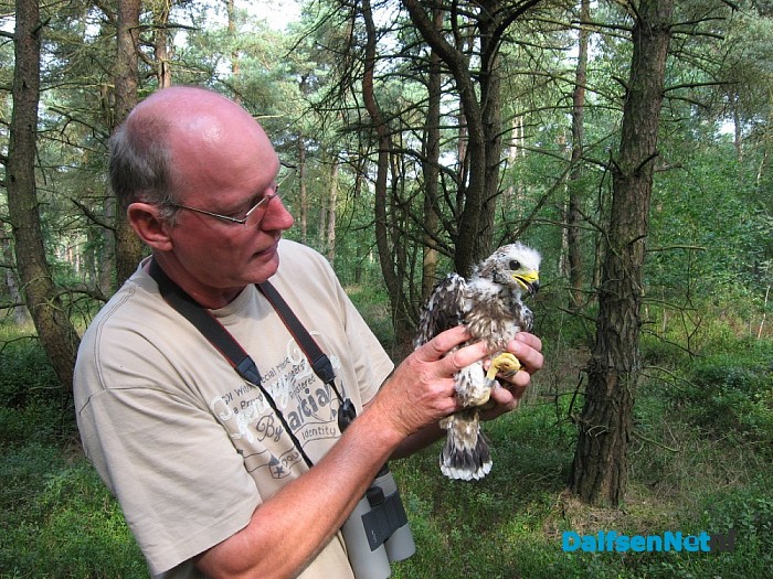 Zeldzame vogel broed op Lemelerberg - Foto: Eigen geleverde foto