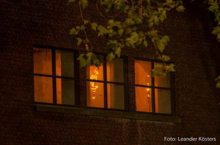 Foto’s grote brand Zwolle afgelopen nacht