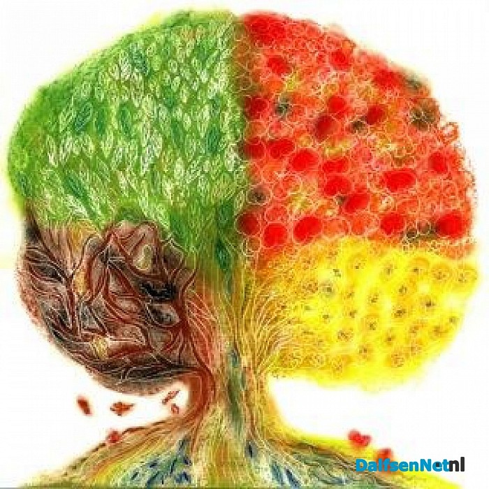 Inspirerende cursus Be-teken-eens!