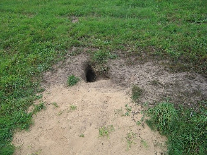 Waterschap gaat dijken weer controleren - Foto: Eigen geleverde foto