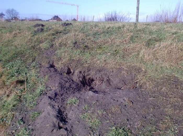 Waterschap gaat dijken weer controleren - Foto: Eigen geleverde foto