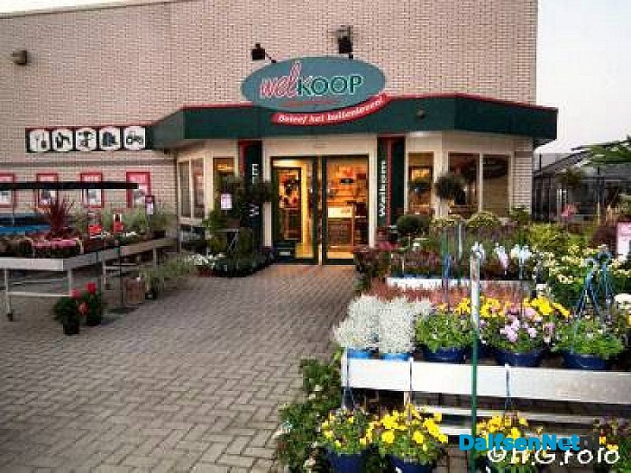 Welkoop Dalfsen in top-10 beste
