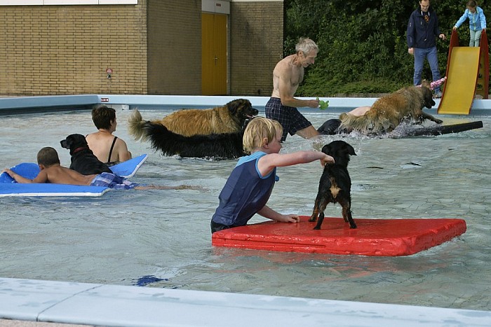 Afsluiting zwemseizoen - Foto: Paul Scholten