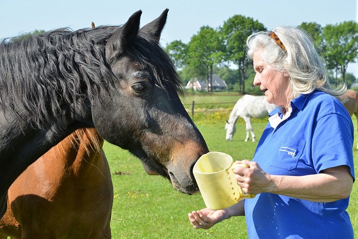 Crazy Horse Day bij ’t Olde Manegepeerd - Foto: Eigen geleverde foto