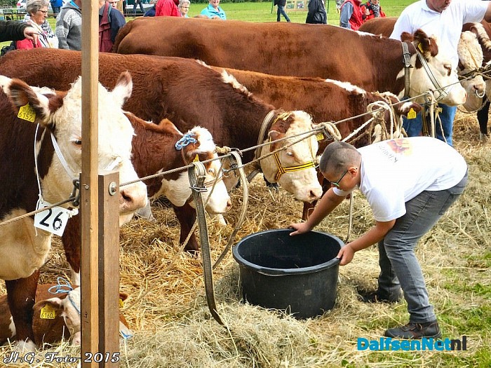 Eerste foto, s Proef Dalfsen. - Foto: H.G. Foto