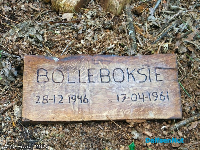 Willem Buis herleeft in de bossen van Oudleusen - Foto: H.G. Foto