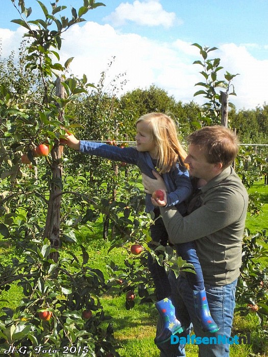 Appels plukken bij van der Kolk. - Foto: H.G. Foto