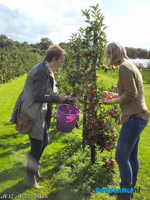 Appels plukken bij van der Kolk. - Foto: H.G. Foto