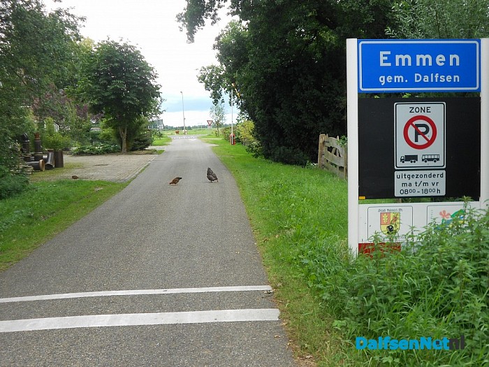 Verkeersremmers