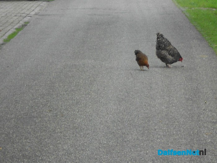 Verkeersremmers