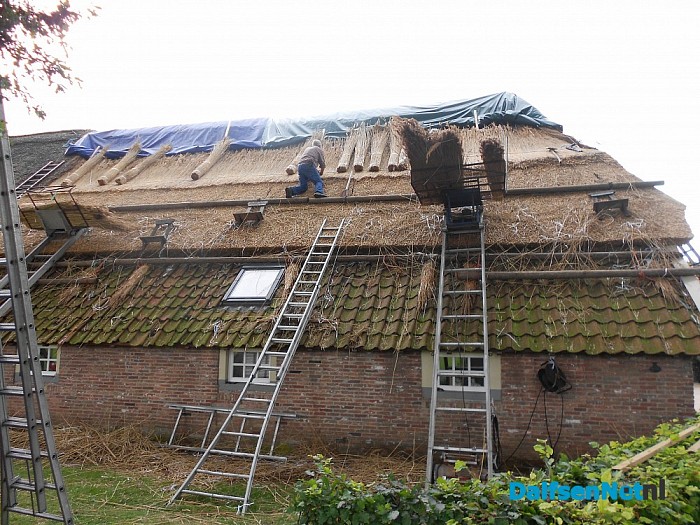 We volgen de rietdekker