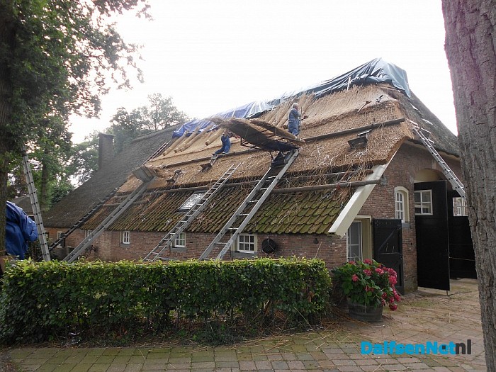 We volgen de rietdekker