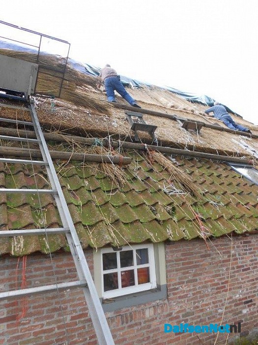 We volgen de rietdekker
