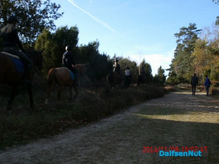 Ponyclub Dalfsen e.o.