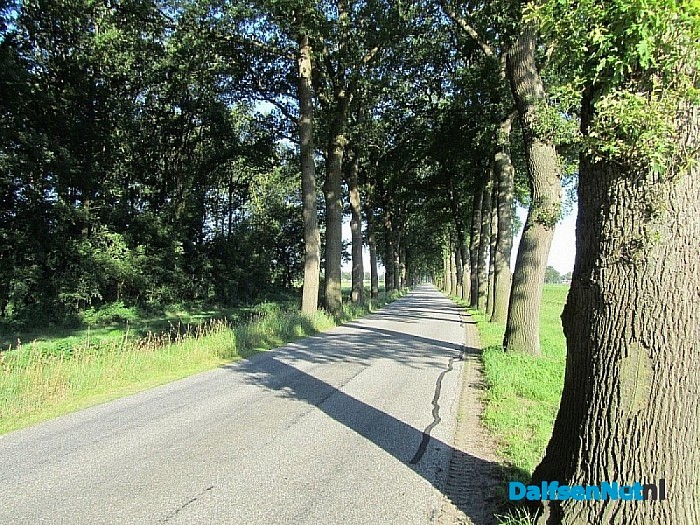 Blijven de bomen aan de Rechterensedijk staan?