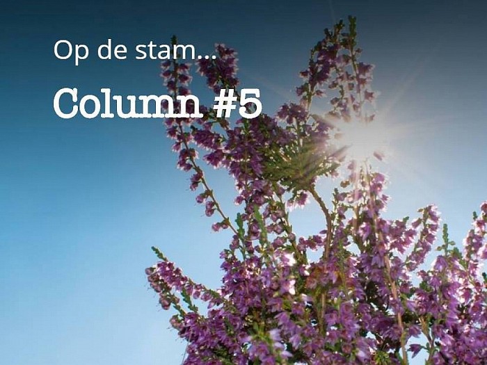 Nieuwe column Groen Gebogen: “Op de stam…” - Foto: Thomas Klomp
