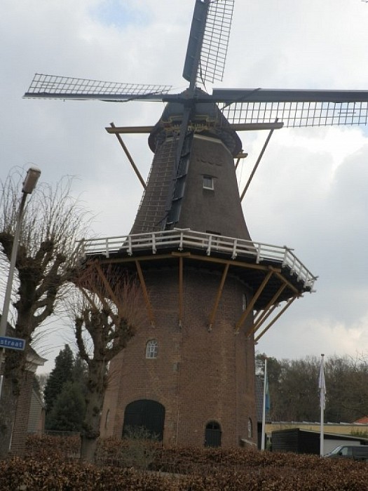 Hoonhorst wint Dorpsvernieuwingsprijs - Foto: Wim