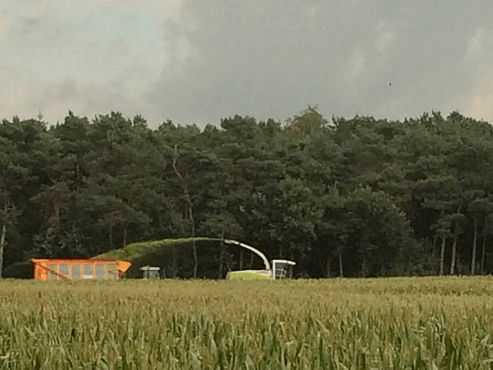 De eerste maishakselploegen weer in het veld