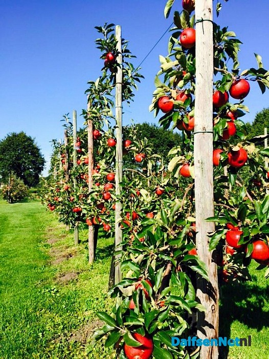 Appelplukdagen groot succes!