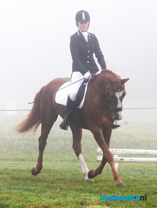 Clubkampioenschap Ponyclub Dalfsen e.o.
