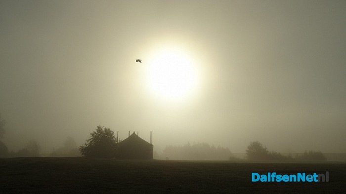 Mistig Dalfsen: ook mooi