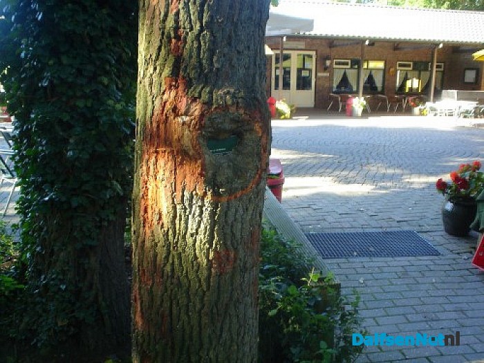 De kracht van de natuur