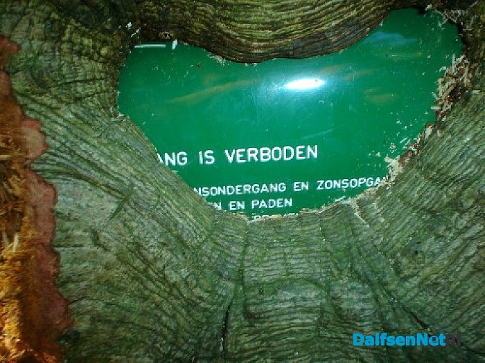 De kracht van de natuur