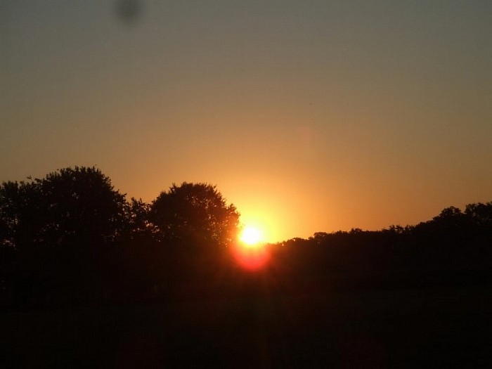 Een zonnige, maar koude vroege zondagmorgen. - Foto: Wim