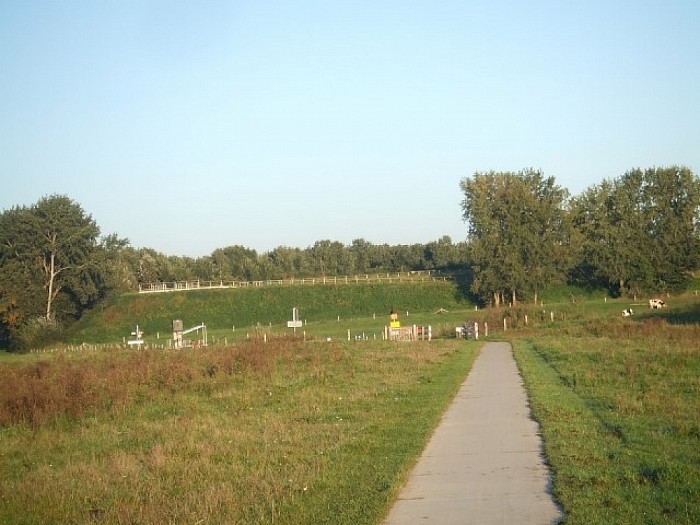 Een zonnige, maar koude vroege zondagmorgen. - Foto: Wim