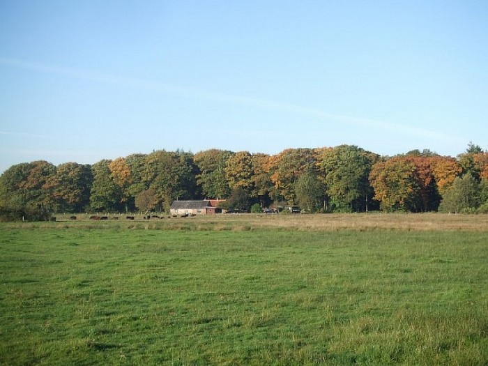 Een zonnige, maar koude vroege zondagmorgen. - Foto: Wim