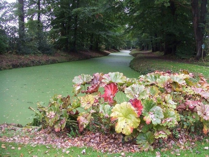 Herfstkleuren op zijn mooist - Foto: Wim