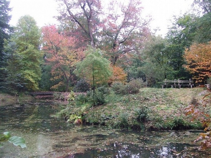 Herfstkleuren op zijn mooist - Foto: Wim