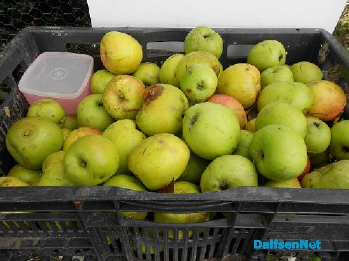 Appels voor de appelmoes