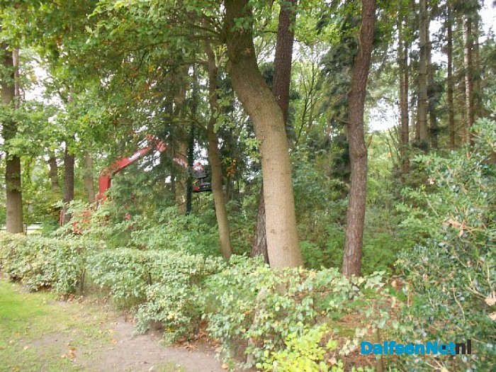 Groot onderhoud Sterrebos bos