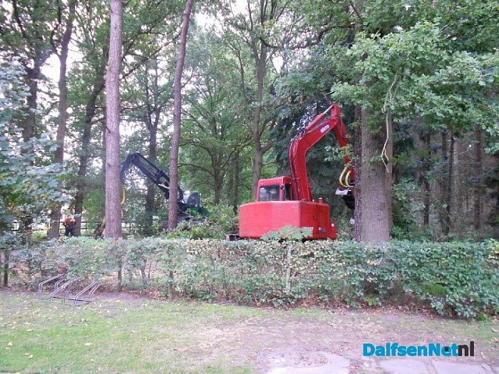Groot onderhoud Sterrebos bos
