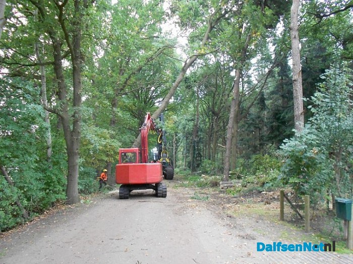 Groot onderhoud Sterrebos bos