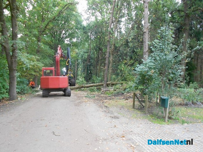 Groot onderhoud Sterrebos bos