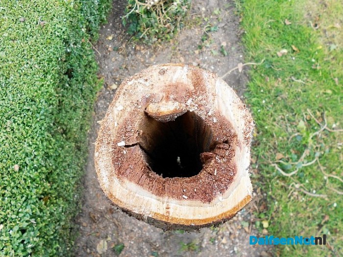 Grolleman doet al 30 jaar het groen bij Huize Den Berg